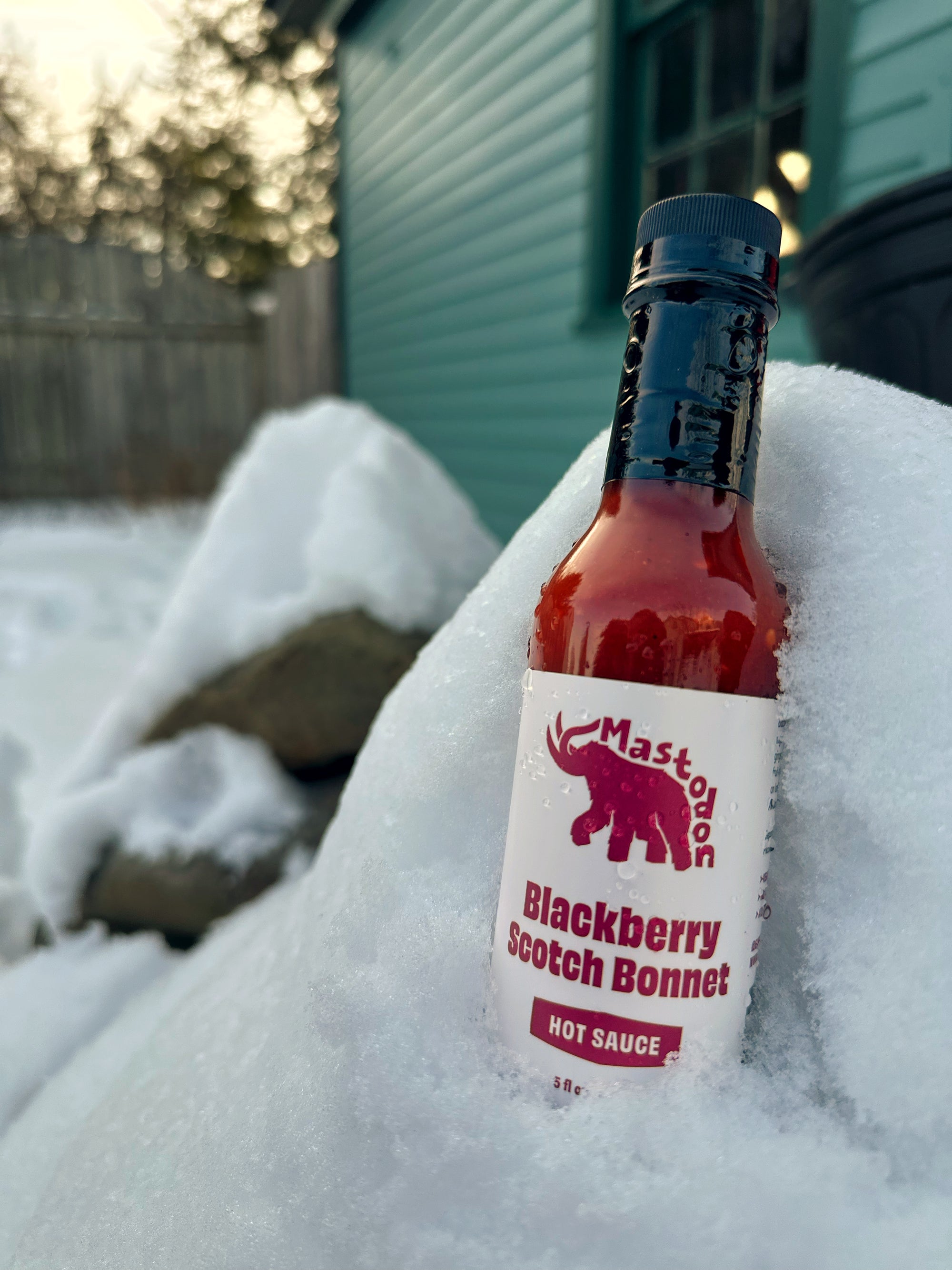 Mastodon hot sauce on the table