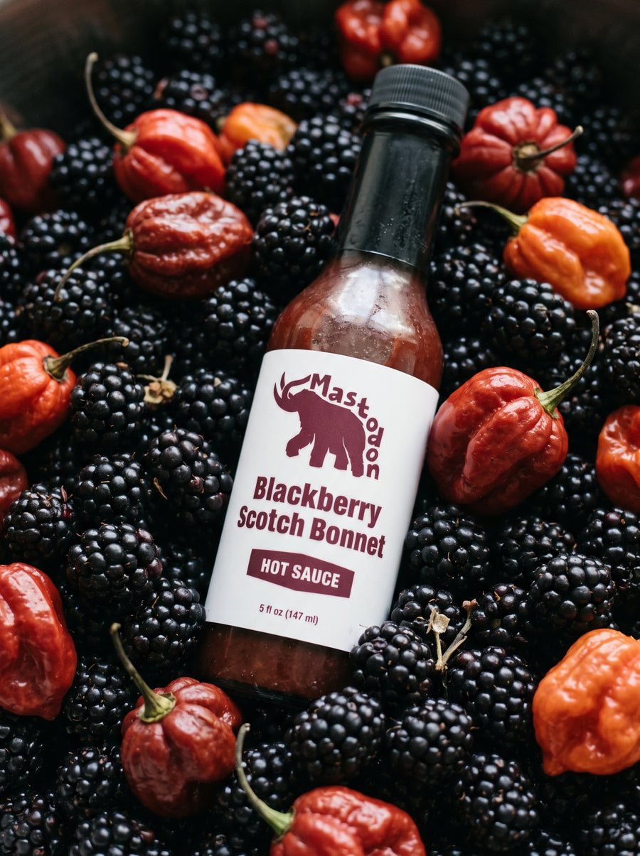 Blackberry Scotch Bonnet Hot Sauce 5oz